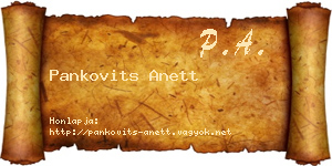 Pankovits Anett névjegykártya
